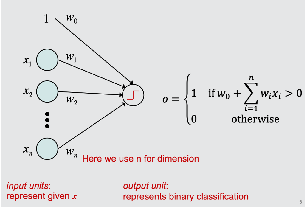 Toy perceptron model